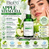 Apple Stem Cell Serum